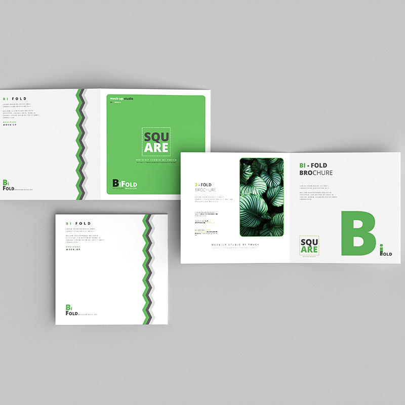 Custom Full Color Flyer Brochu - Commercial Printing Business review and price